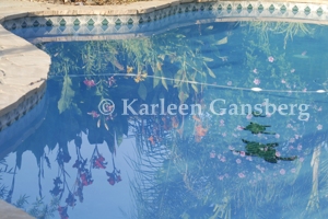 Garden reflecting in pool -© Karleen Gansberg